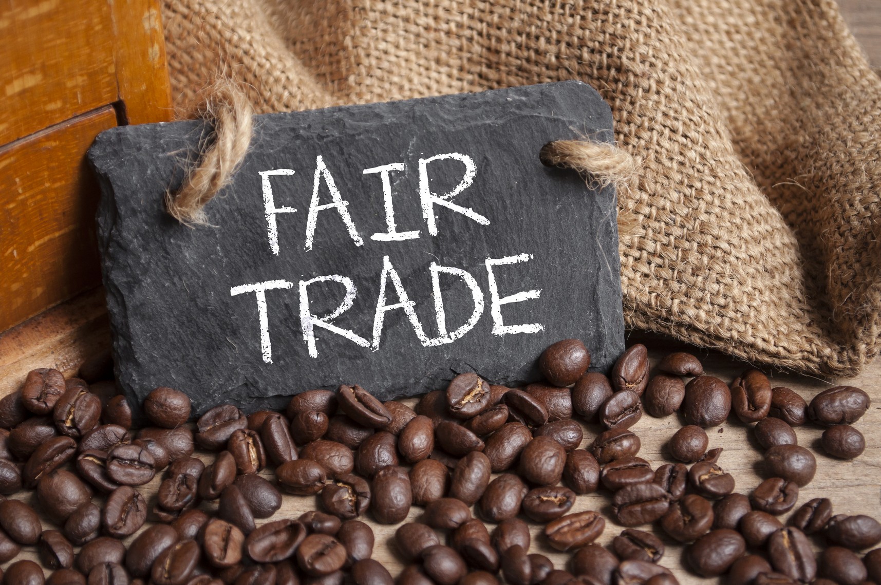Coffee Trends Benefit Tampa
